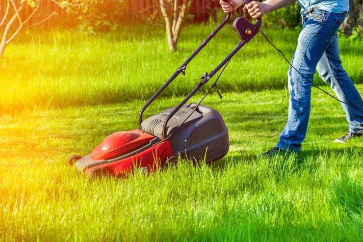 uomo che taglia l'erba del proprio giardino 